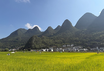 万峰林景区第 70 张图片