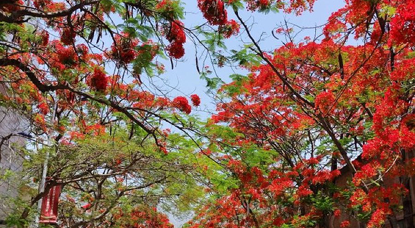 易门县绿汁坡观景台