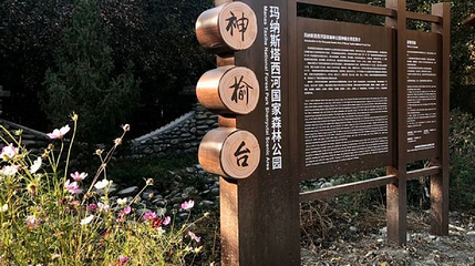 玛纳斯国家森林公园神榆台景区第 1 张图片