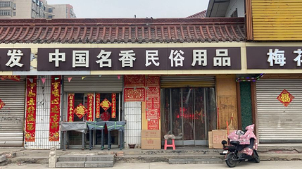 梅花公园第 1 张图片