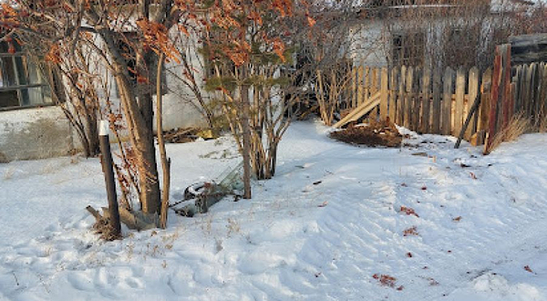 Oo Dachnyy Kooperativ 