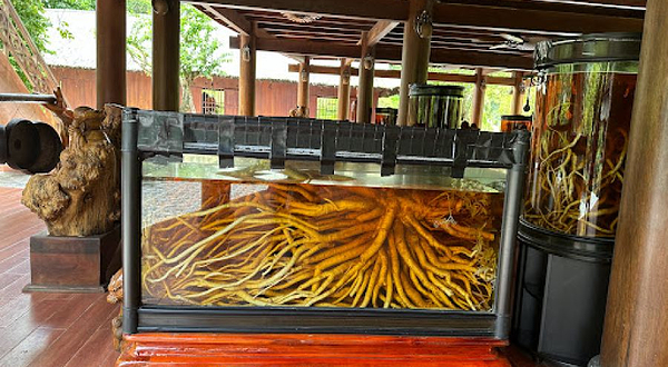 Khu du lịch Suối Tranh