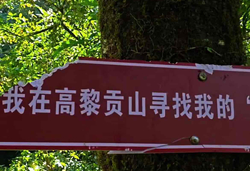 高黎贡山第 34 张图片