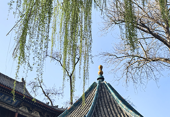晋祠博物馆第 249 张图片