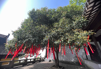 虞山景区第 22 张图片