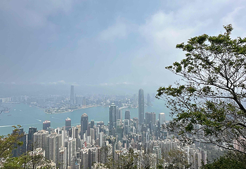 太平山顶第 245 张图片