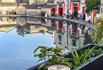 宏村景区第 280 张图片
