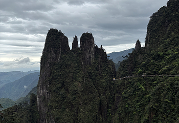 莽山五指峰景区第 122 张图片