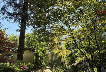 莫干山风景名胜区第 62 张图片