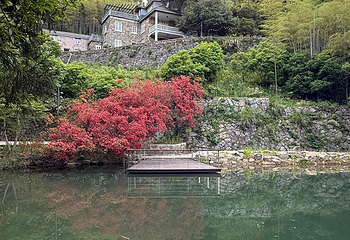 莫干山风景名胜区第 53 张图片