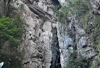 武隆天生三桥第 99 张图片