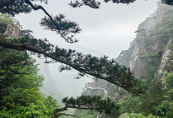 九华山风景区第 182 张图片