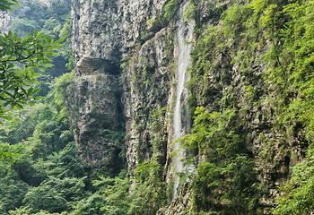 张家界大峡谷第 105 张图片