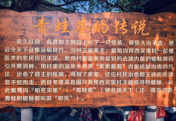 葡萄沟第 15 张图片