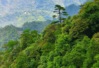 三清山风景区第 182 张图片
