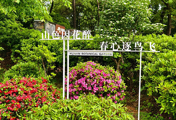 湖南省植物园第 18 张图片