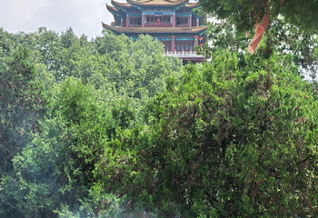 中原大佛景区第 23 张图片