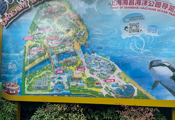 上海海昌海洋公园第 373 张图片