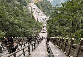 天门山国家森林公园第 492 张图片
