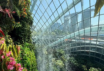 新加坡滨海湾花园第 417 张图片