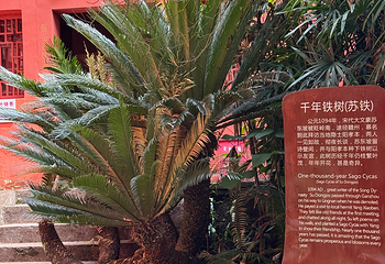 通天岩第 53 张图片