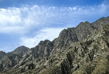 贺兰山岩画第 83 张图片
