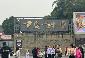 重庆动物园第 130 张图片
