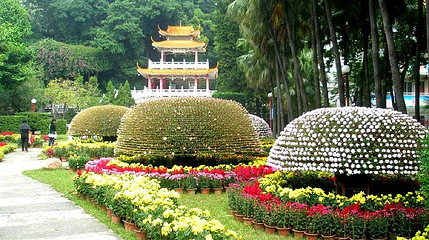 凤山公园第 1 张图片