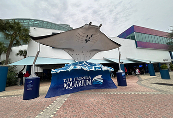 佛州水族馆第 26 张图片