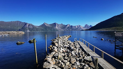 port Mefjordvær第 1 张图片