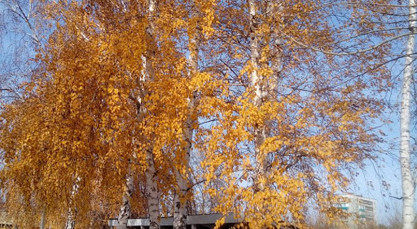 City Park of Culture and Leisure