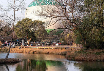 西溪国家湿地公园第 155 张图片