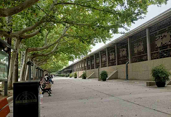 秦始皇帝陵博物院(兵马俑)第 657 张图片
