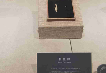 西安半坡博物馆第 118 张图片