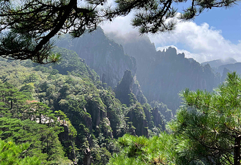 黄山风景区第 55 张图片
