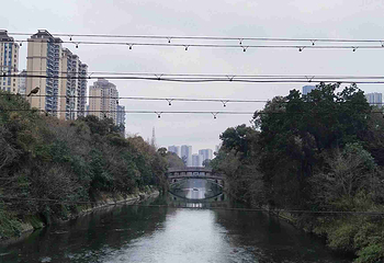 塔子山公园第 37 张图片