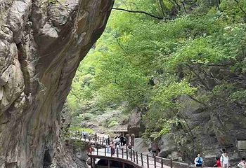 太平国家森林公园第 81 张图片