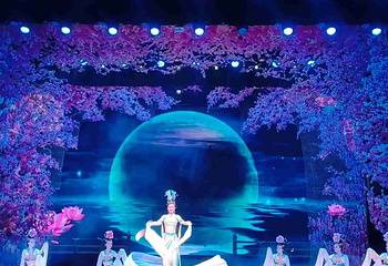陕西歌舞大剧院非遗《仿唐乐舞》第 23 张图片