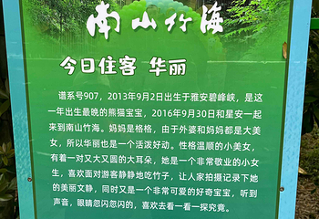 天目湖南山竹海第 155 张图片