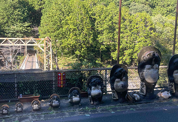 岚山嵯峨野观光小火车第 46 张图片
