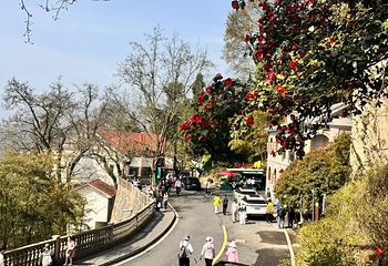 莫干山风景名胜区第 92 张图片