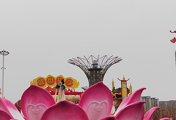 河头老街第 313 张图片