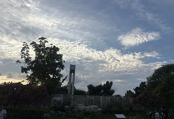 玄武湖景区第 151 张图片