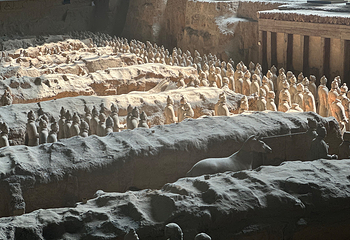 秦始皇帝陵博物院(兵马俑)第 397 张图片