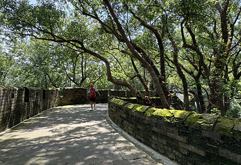 台州府城文化旅游区第 67 张图片