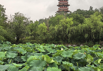 徐州云龙湖风景区第 19 张图片