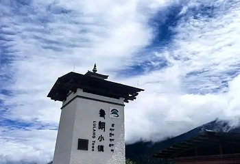 鲁朗国际旅游小镇第 25 张图片