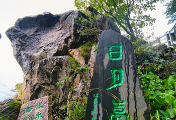老界岭旅游度假区第 102 张图片