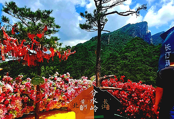 老界岭旅游度假区第 109 张图片