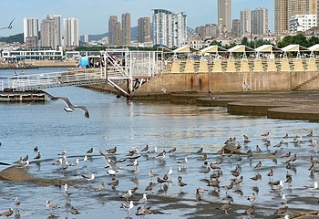 星海广场第 40 张图片